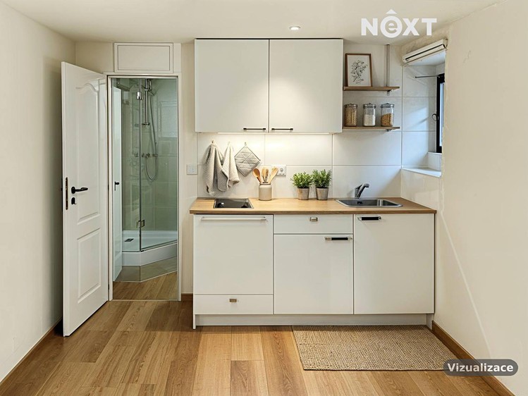 Prodej bytu 1+1 45 m² (Jednopodlažní) - foto 8