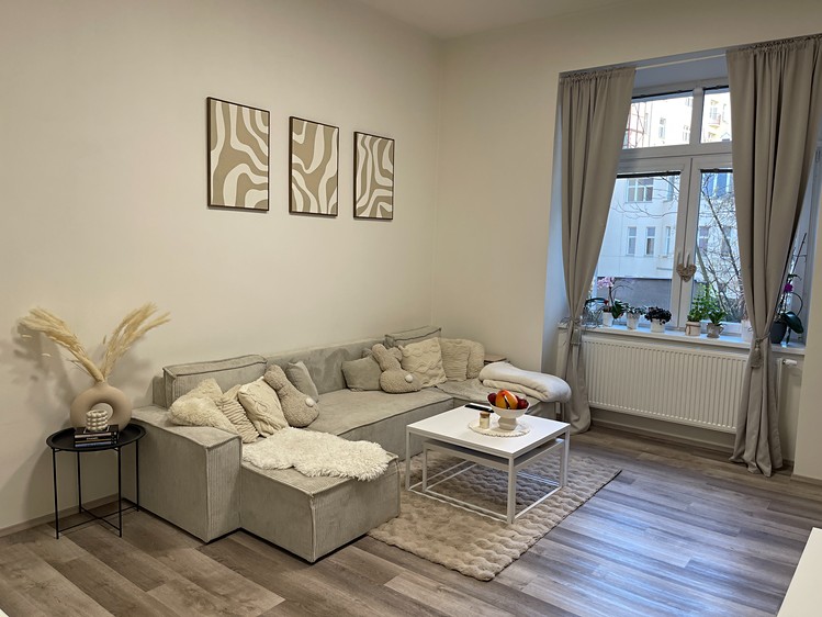 Prodej bytu 2+1 51 m² (Jednopodlažní) - foto 8