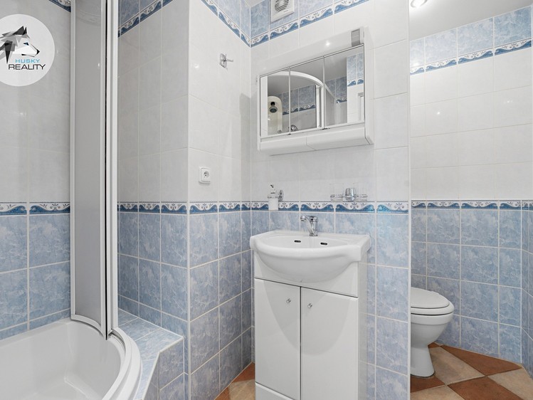 Prodej bytu 1+1 33 m² (Jednopodlažní) - foto 3