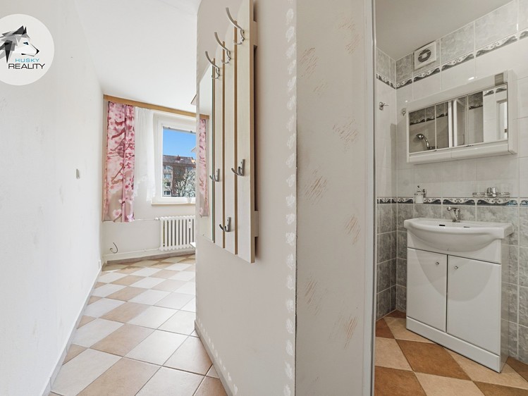 Prodej bytu 1+1 33 m² (Jednopodlažní) - foto 8