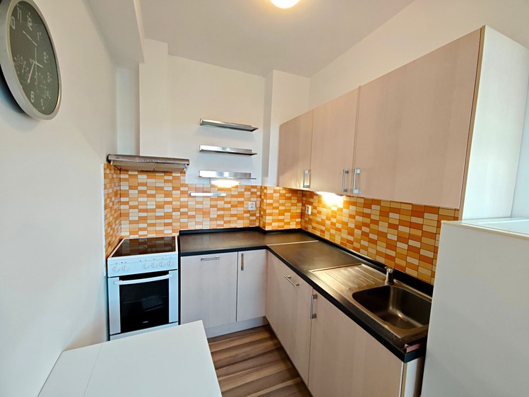 Prodej bytu 1+kk 32 m² (Podkrovní) - foto 5