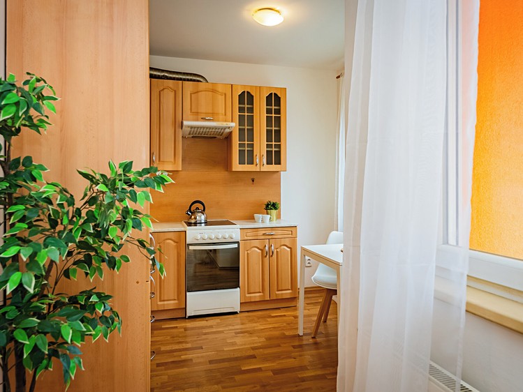 Prodej bytu 2+kk 46 m² - foto 5