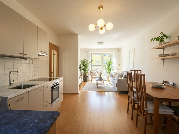 Prodej bytu 2+1 48 m² (Jednopodlažní) - foto 1