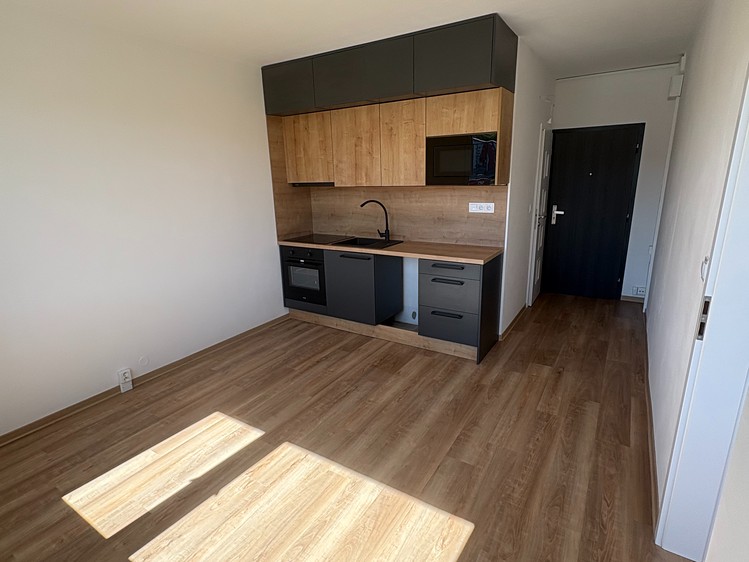 Prodej bytu 1+1 37 m² (Jednopodlažní) - foto 1