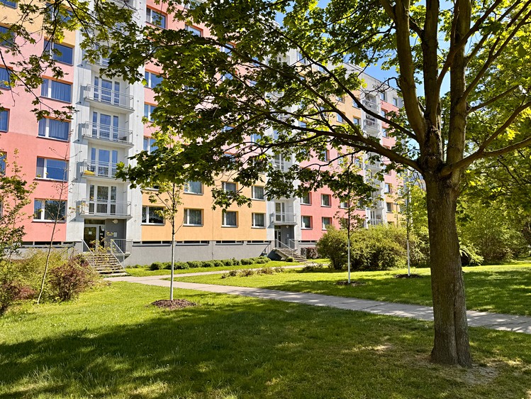 Prodej bytu 3+1 75 m² (Jednopodlažní) - foto 2