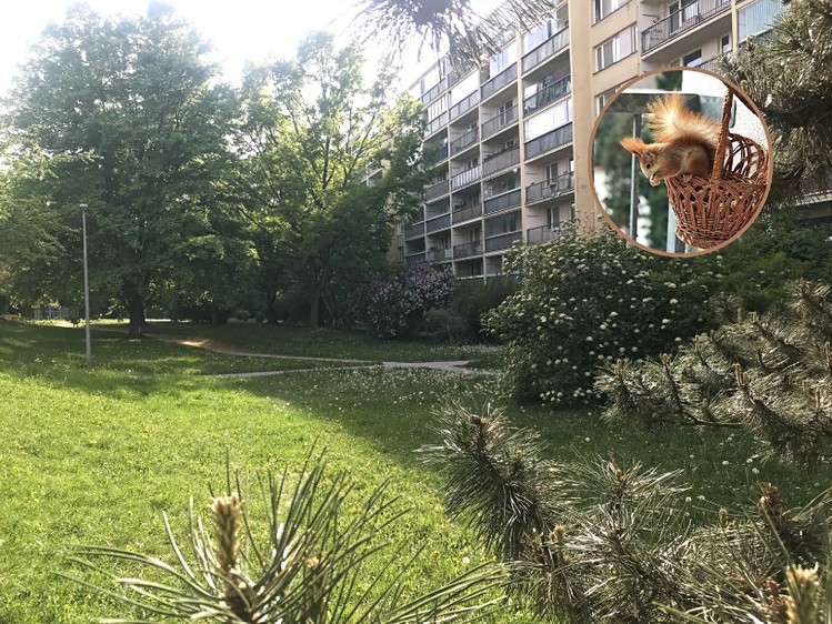 Prodej bytu 3+kk 64 m² - foto 1