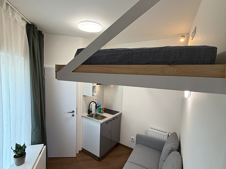 Pronájem bytu 1+kk 10 m² (Jednopodlažní) - foto 5