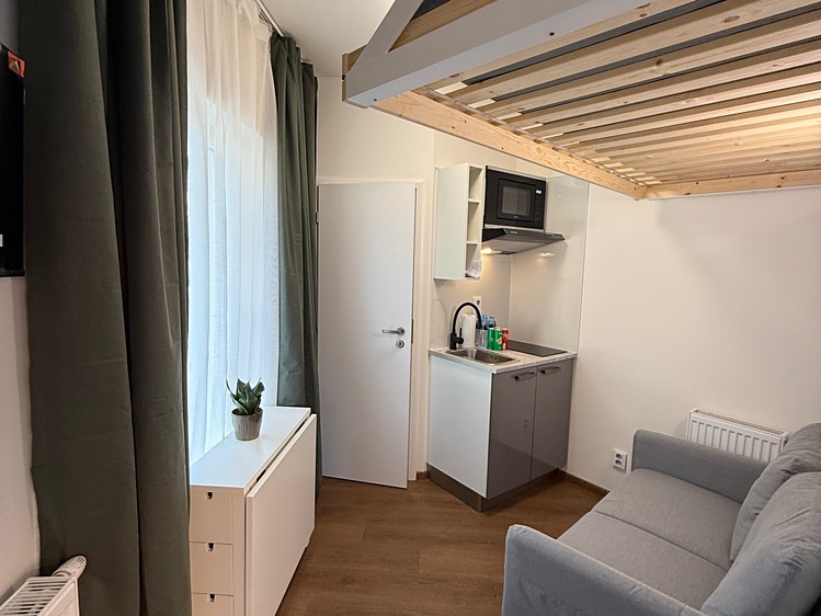 Pronájem bytu 1+kk 10 m² (Jednopodlažní) - foto 6