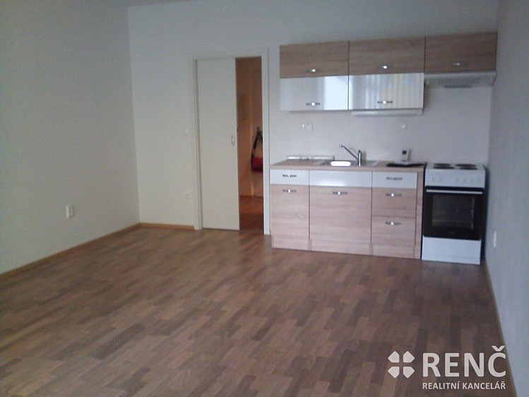Pronájem bytu 1+kk 41 m² - foto 4
