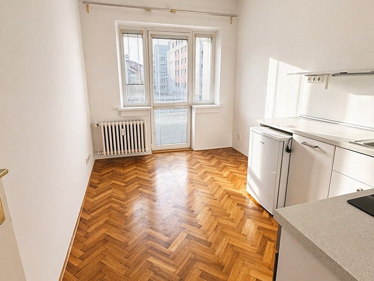 Pronájem bytu 1+1 43 m² - foto 5