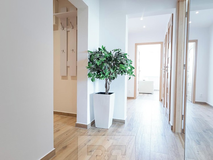 Pronájem bytu 3+kk 59 m² (Jednopodlažní) - foto 5