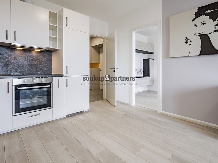 Pronájem bytu 2+kk 55 m² - foto 7