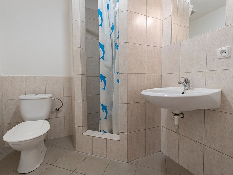 Pronájem bytu 1+kk 34 m² (Podkrovní) - foto 5