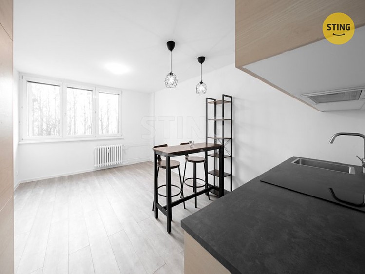 Pronájem bytu 1+kk 24 m² - foto 3