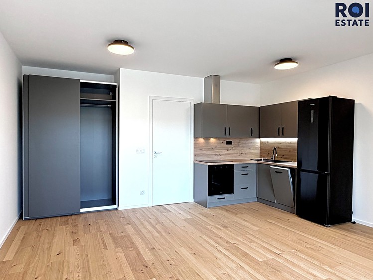 Pronájem bytu 1+kk 43 m² - foto 1
