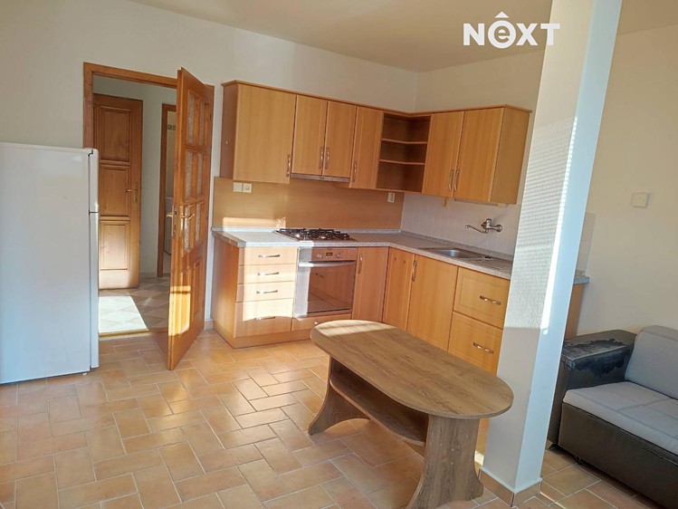 Pronájem bytu 1+1 47 m² - foto 3
