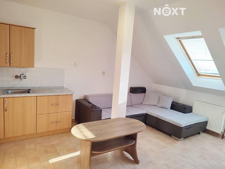 Pronájem bytu 1+1 47 m² - foto 4