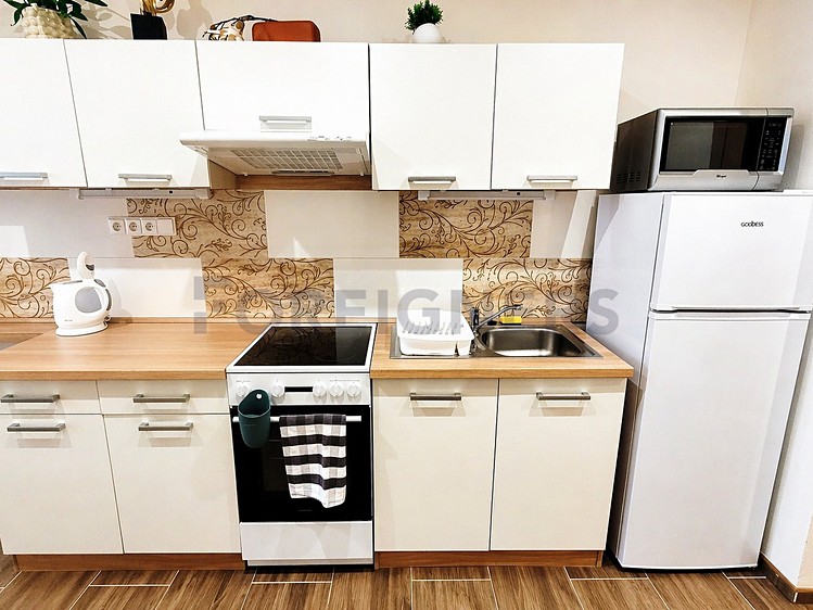 Pronájem bytu 1+1 41 m² - foto 4
