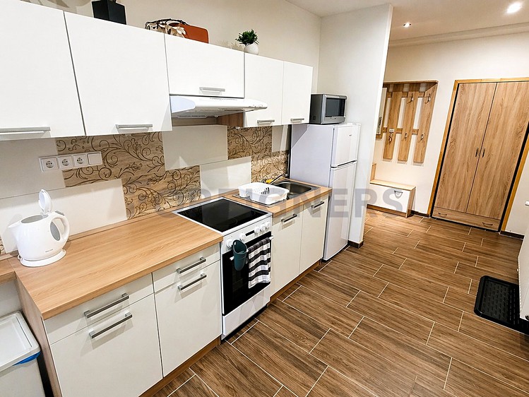 Pronájem bytu 1+1 41 m² - foto 5