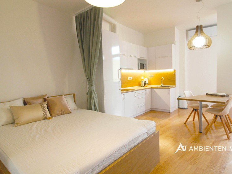 Pronájem bytu 1+kk 54 m² - foto 1