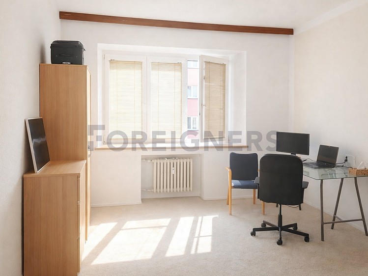 Pronájem pokoje 24 m² - foto 1