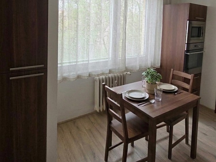 Pronájem bytu 2+1 48 m² - foto 3