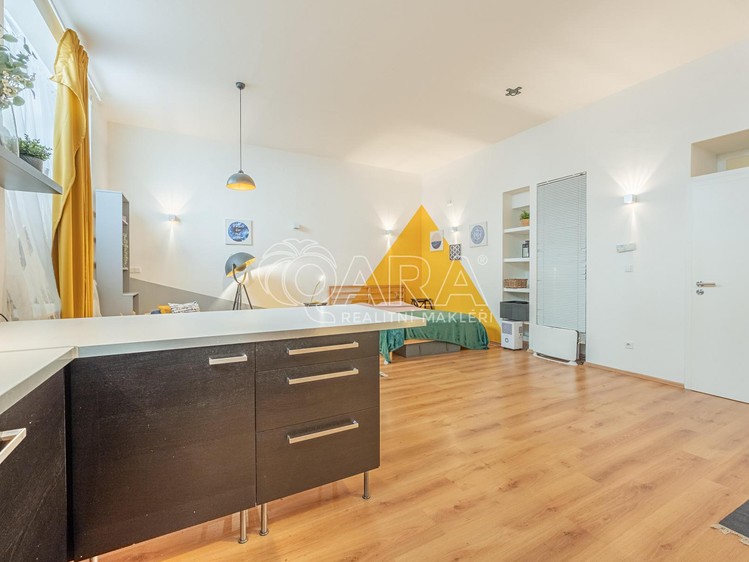 Pronájem bytu 1+kk 53 m² (Jednopodlažní) - foto 3