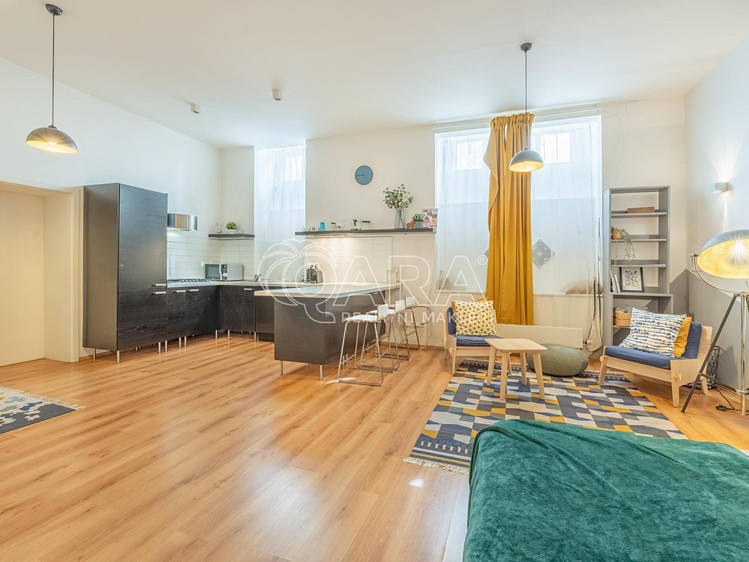Pronájem bytu 1+kk 53 m² (Jednopodlažní) - foto 4