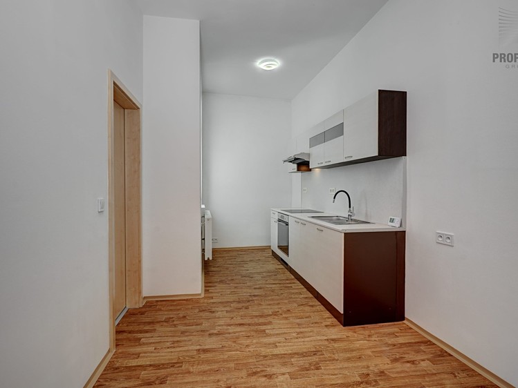 Pronájem bytu 2+1 61 m² (Jednopodlažní) - foto 3
