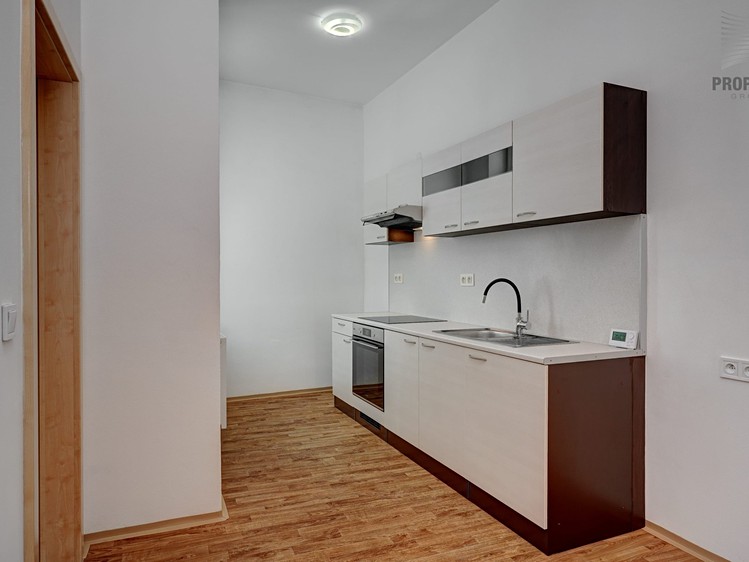 Pronájem bytu 2+1 61 m² (Jednopodlažní) - foto 4