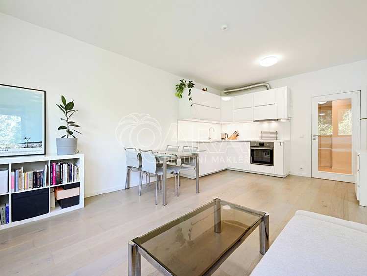 Pronájem bytu 2+kk 47 m² (Jednopodlažní) - foto 3