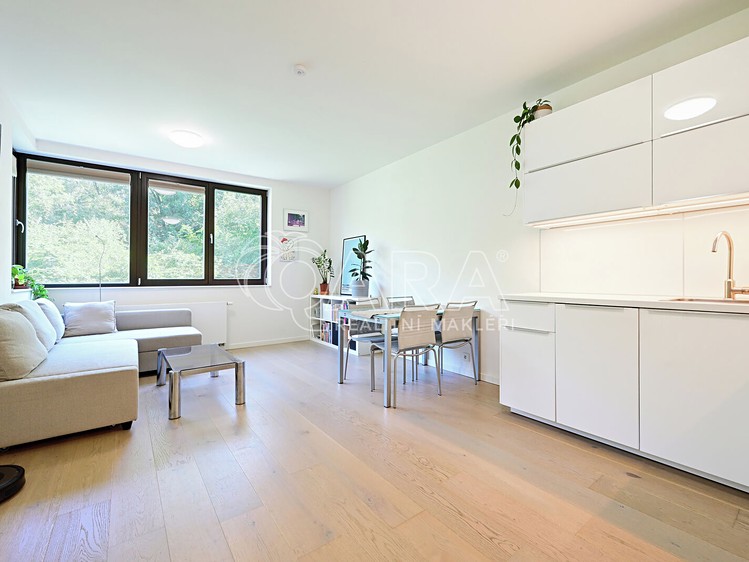 Pronájem bytu 2+kk 47 m² (Jednopodlažní) - foto 6