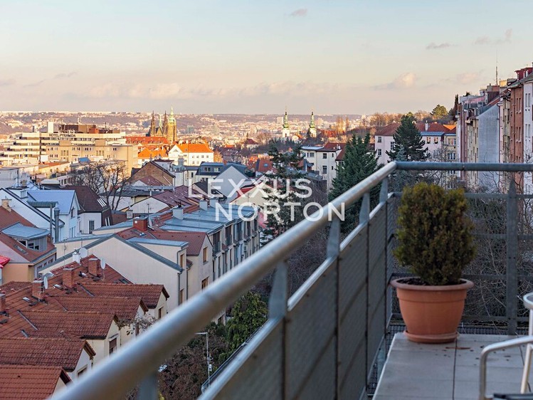 Pronájem bytu 3+kk 100 m² - foto 6