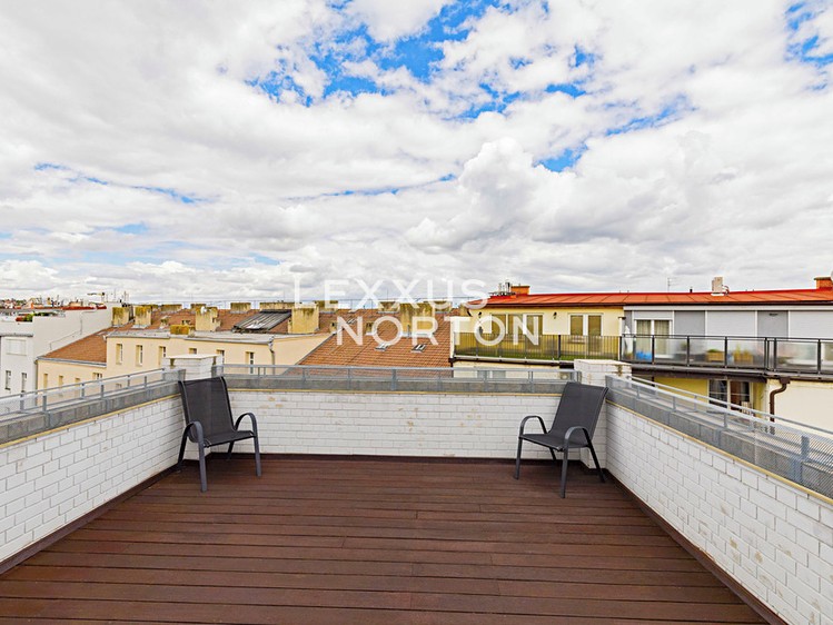 Pronájem bytu 4+kk 192 m² - foto 4