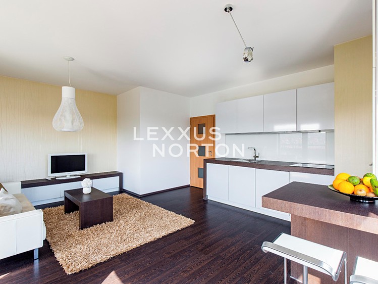 Pronájem bytu 2+kk 58 m² - foto 8