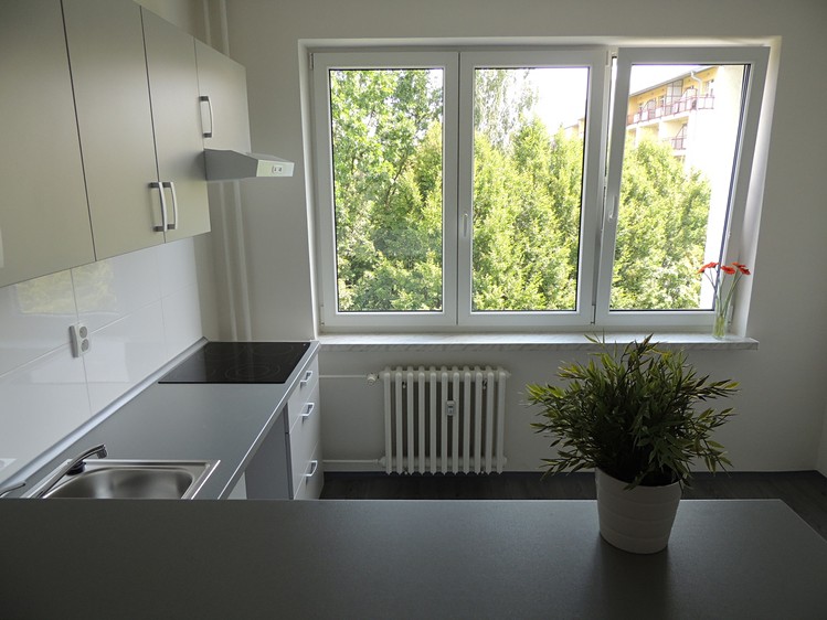 Pronájem bytu 2+kk 37 m² - foto 3