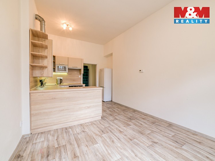 Pronájem bytu 1+1 48 m² - foto 3