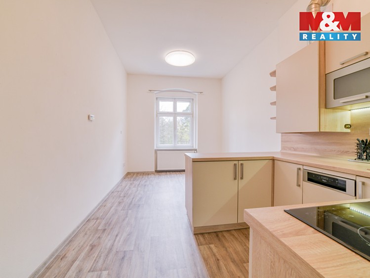 Pronájem bytu 1+1 48 m² - foto 4