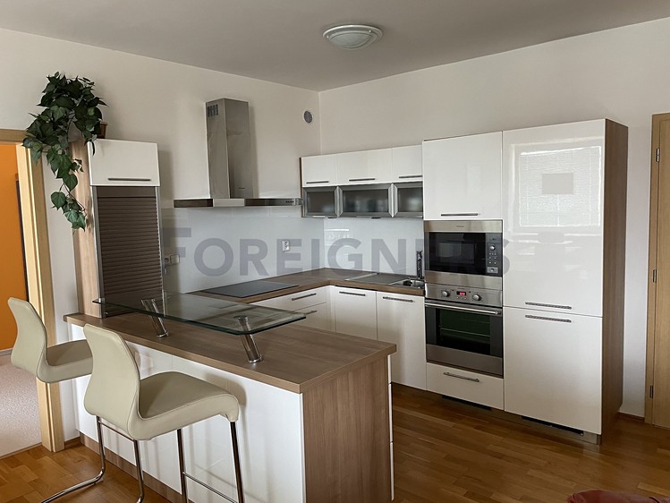Pronájem bytu 3+kk 110 m² - foto 1