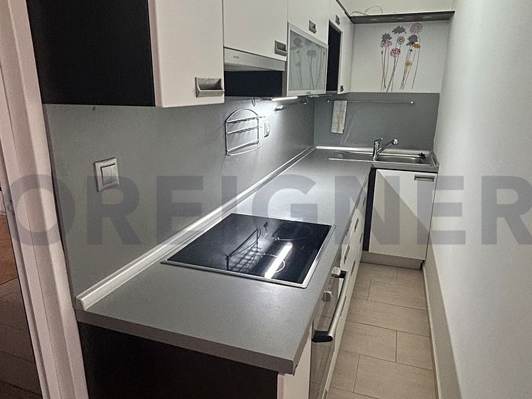 Pronájem bytu 2+1 56 m² - foto 2