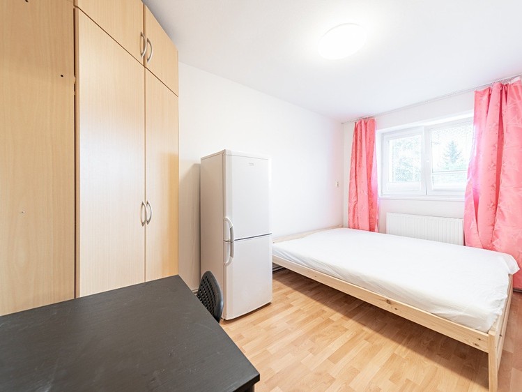 Pronájem pokoje 15 m² (Jednopodlažní) - foto 1