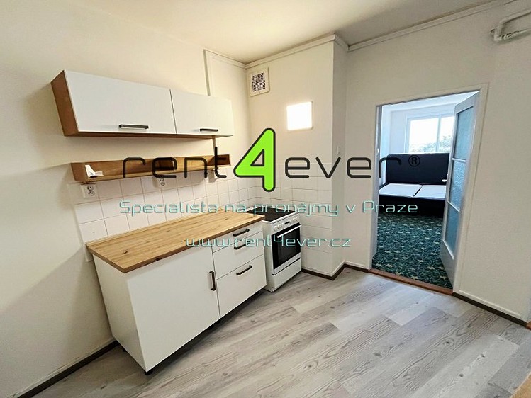 Pronájem bytu 2+1 47 m² - foto 4