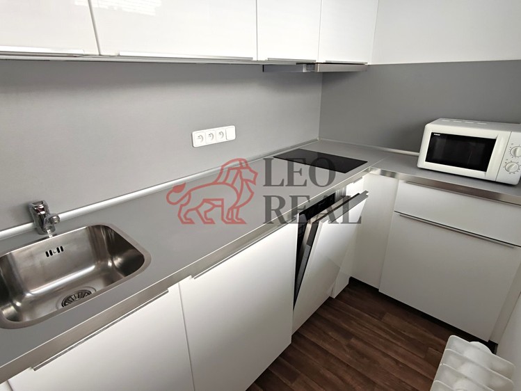 Pronájem bytu 1+kk 33 m² - foto 4