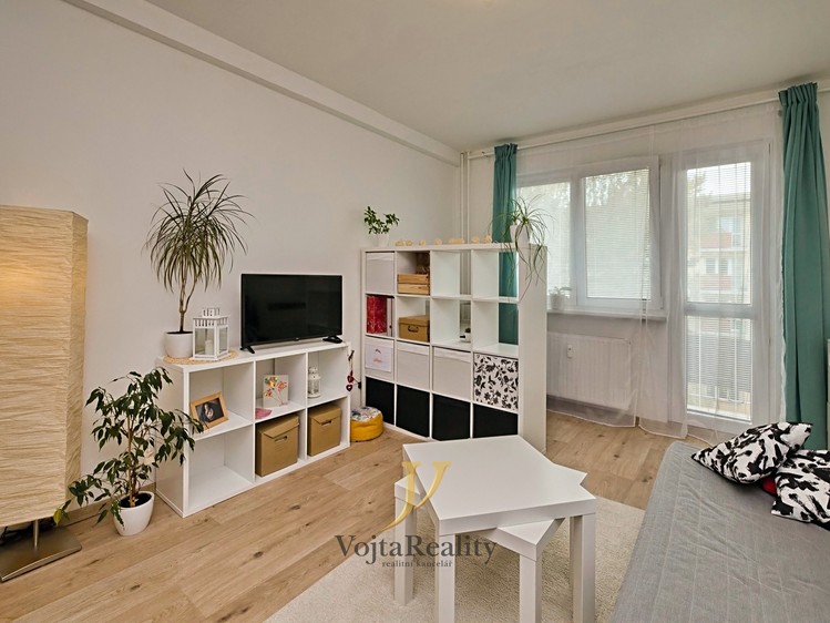 Pronájem bytu 1+1 41 m² - foto 1