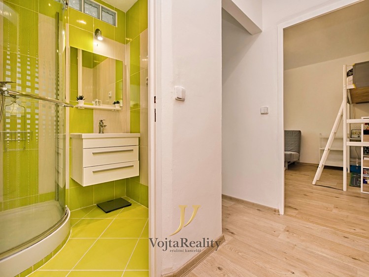 Pronájem bytu 1+1 41 m² - foto 8