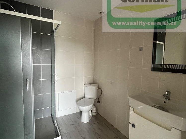 Pronájem bytu 1+1 40 m² - foto 7