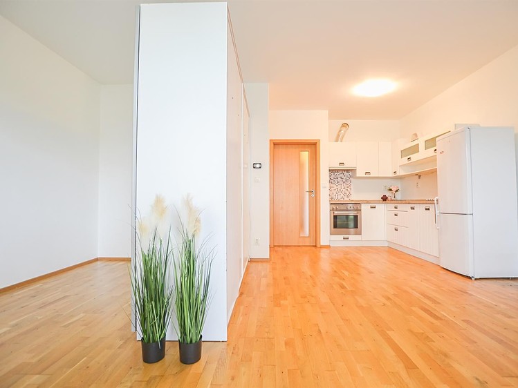 Pronájem bytu 2+kk 50 m² - foto 3
