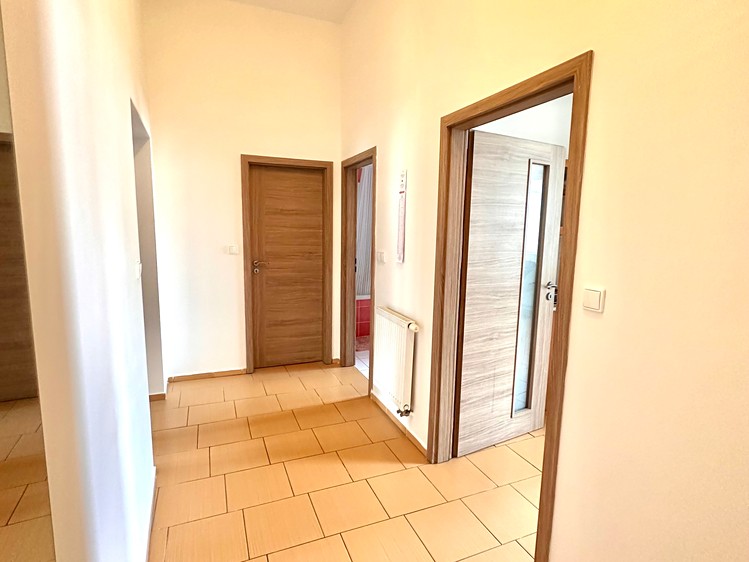 Pronájem bytu 1+1 65 m² (Jednopodlažní) - foto 4