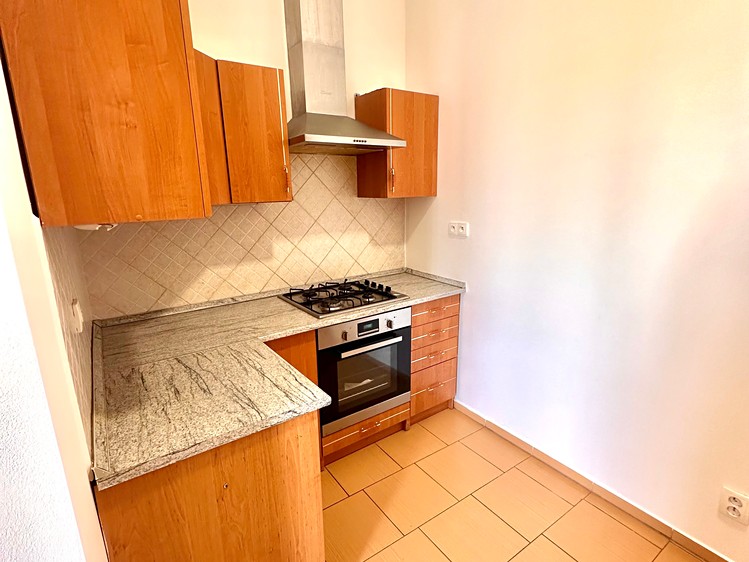 Pronájem bytu 1+1 65 m² (Jednopodlažní) - foto 8