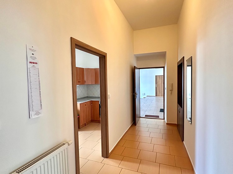 Pronájem bytu 1+1 65 m² (Jednopodlažní) - foto 5